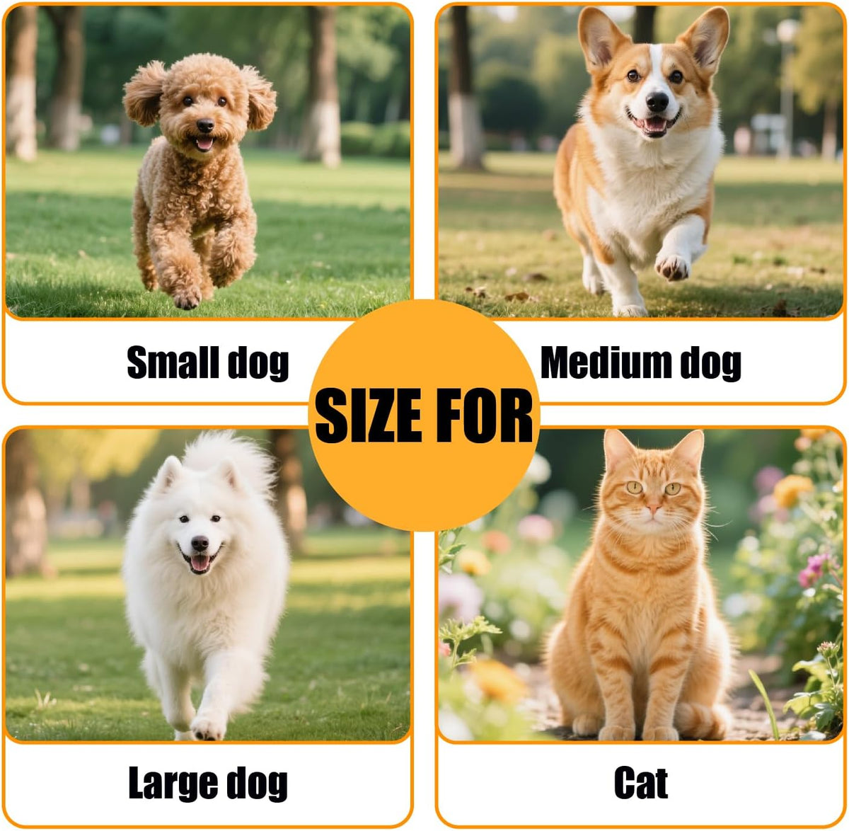 Meekamar retractable leash in use with medium sized dog