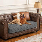 Ameritex Waterproof Dog Bed Cover front view protecting a grey couch from pet stains.