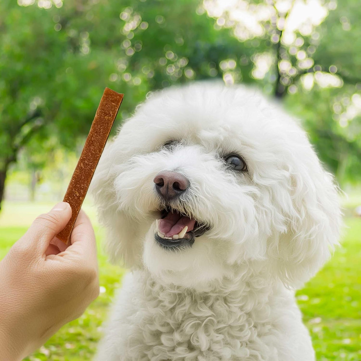 Healthy lamb based snack for dogs by Pet 'N Shape