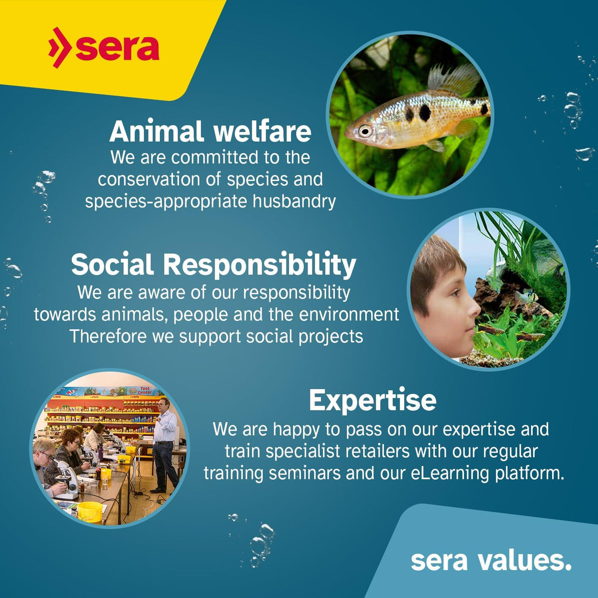 Authentic Sera brand premium pet food container for aquarium invertebrates.