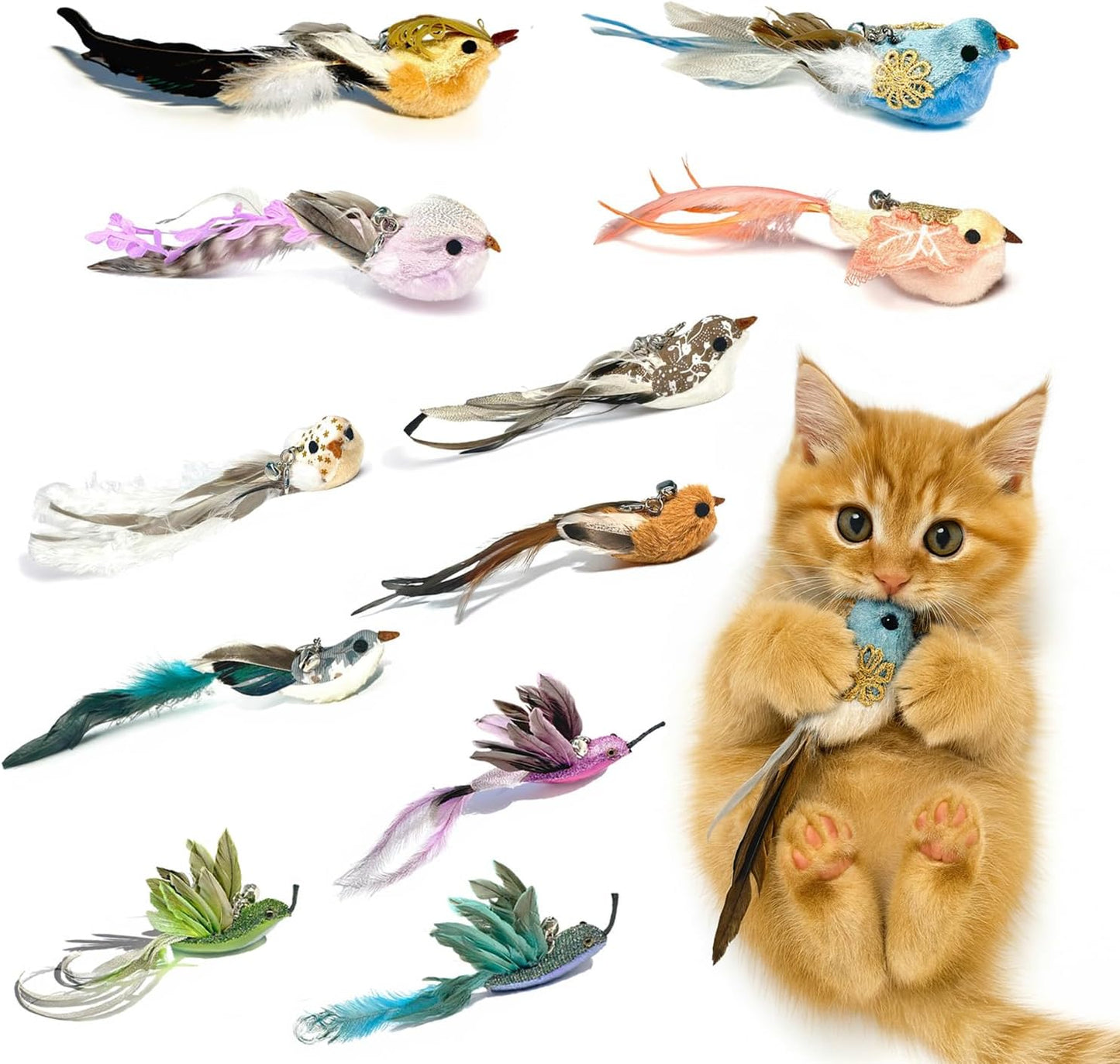 Zaylumo 11 piece realistic bird cat toy refills front view showing colourful handmade feather attachments.