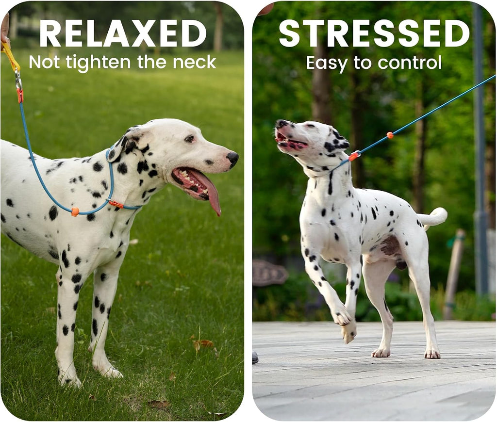 HowGo dog training leash highlighting the dual three dimensional padded handles.