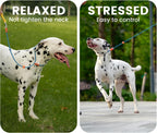 HowGo dog training leash highlighting the dual three dimensional padded handles.