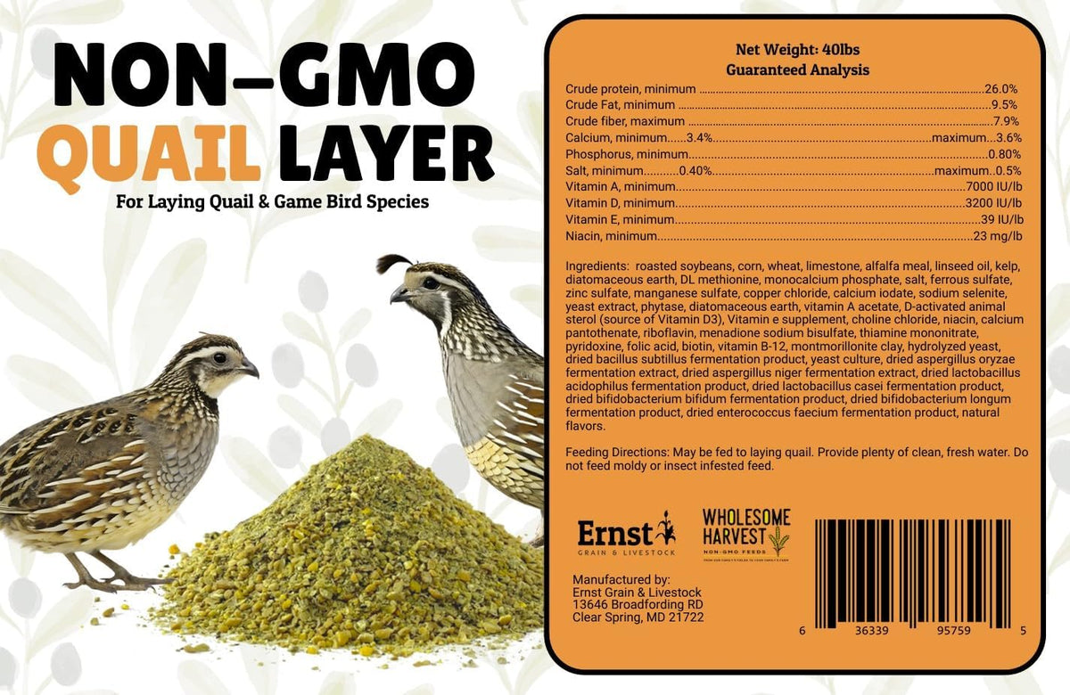 Non-GMO Quail Layer Feed 26% - Premium 10 lb Food for Laying Birds, Button Food - Image 4