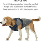 Pet dog wearing sleeveless muscle tank