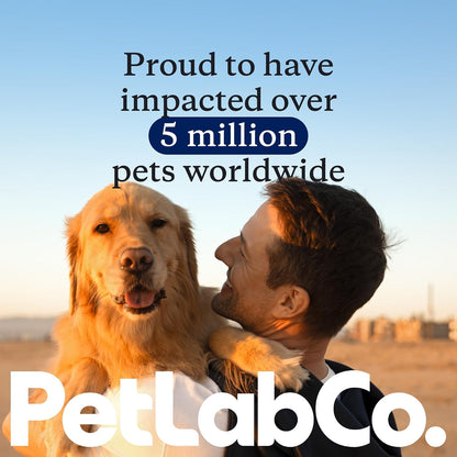 PetLab Co dog anti scratch supplement tub highlighting the advanced pro formula.