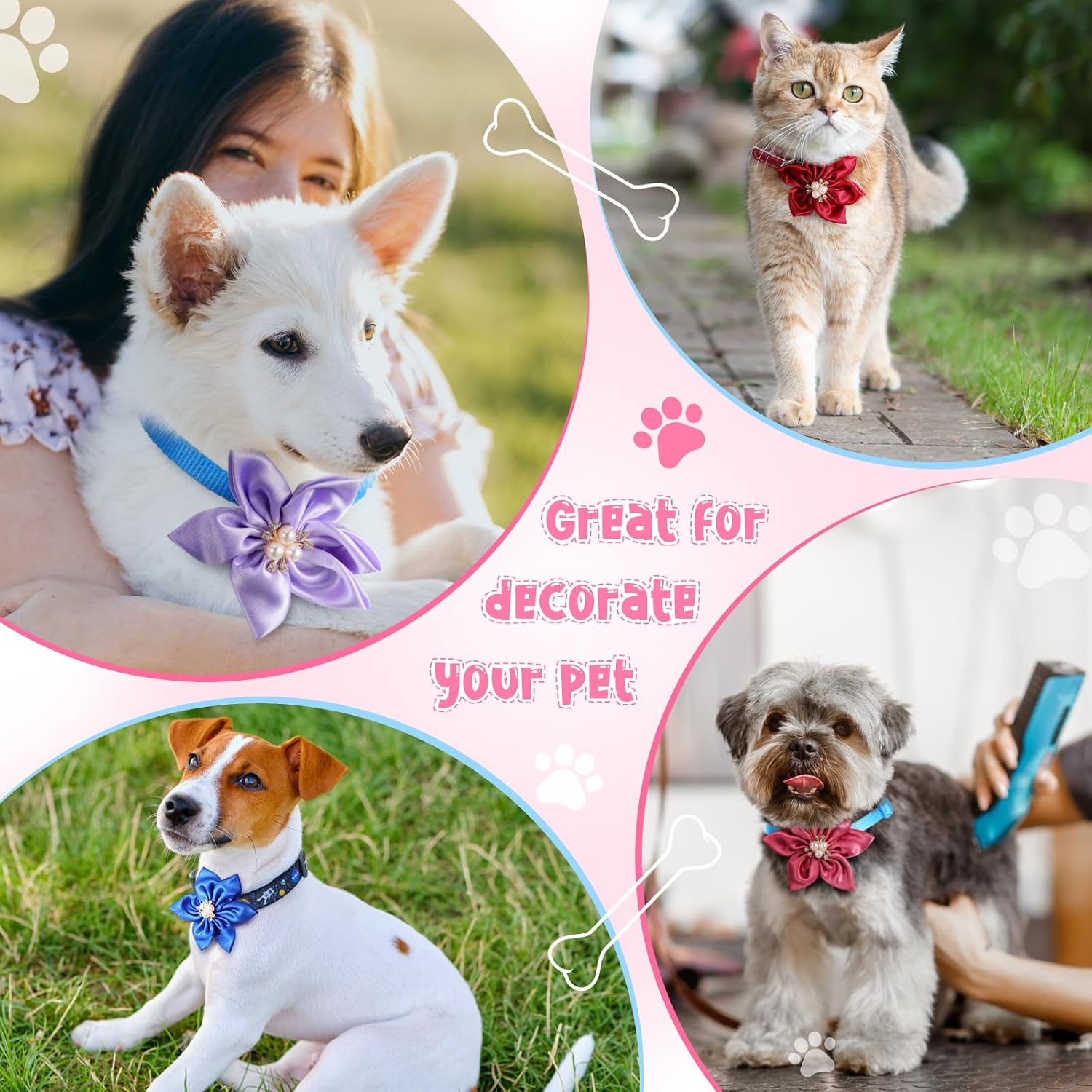 Reginary puppy cat pet collar grooming accessories organized in a diverse twenty pack