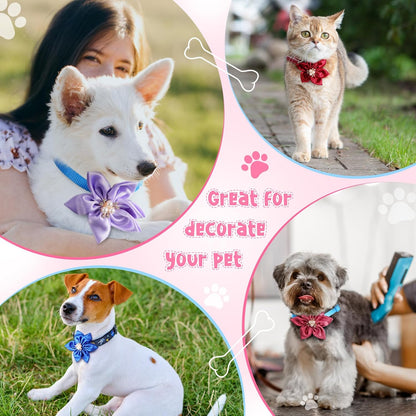 Reginary puppy cat pet collar grooming accessories organized in a diverse twenty pack