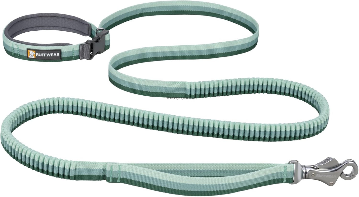 Ruffwear Roamer Bungee Dog Leash front view in River Rock Green color