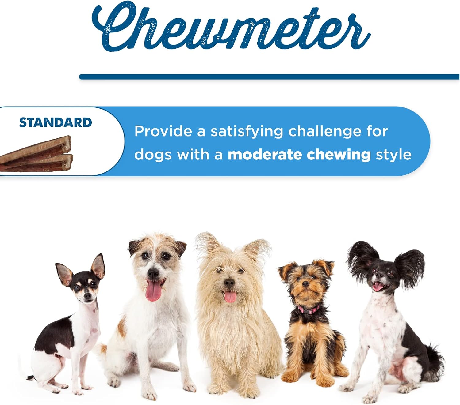 Best Bully Sticks grass fed beef pizzle chews for canine dental health