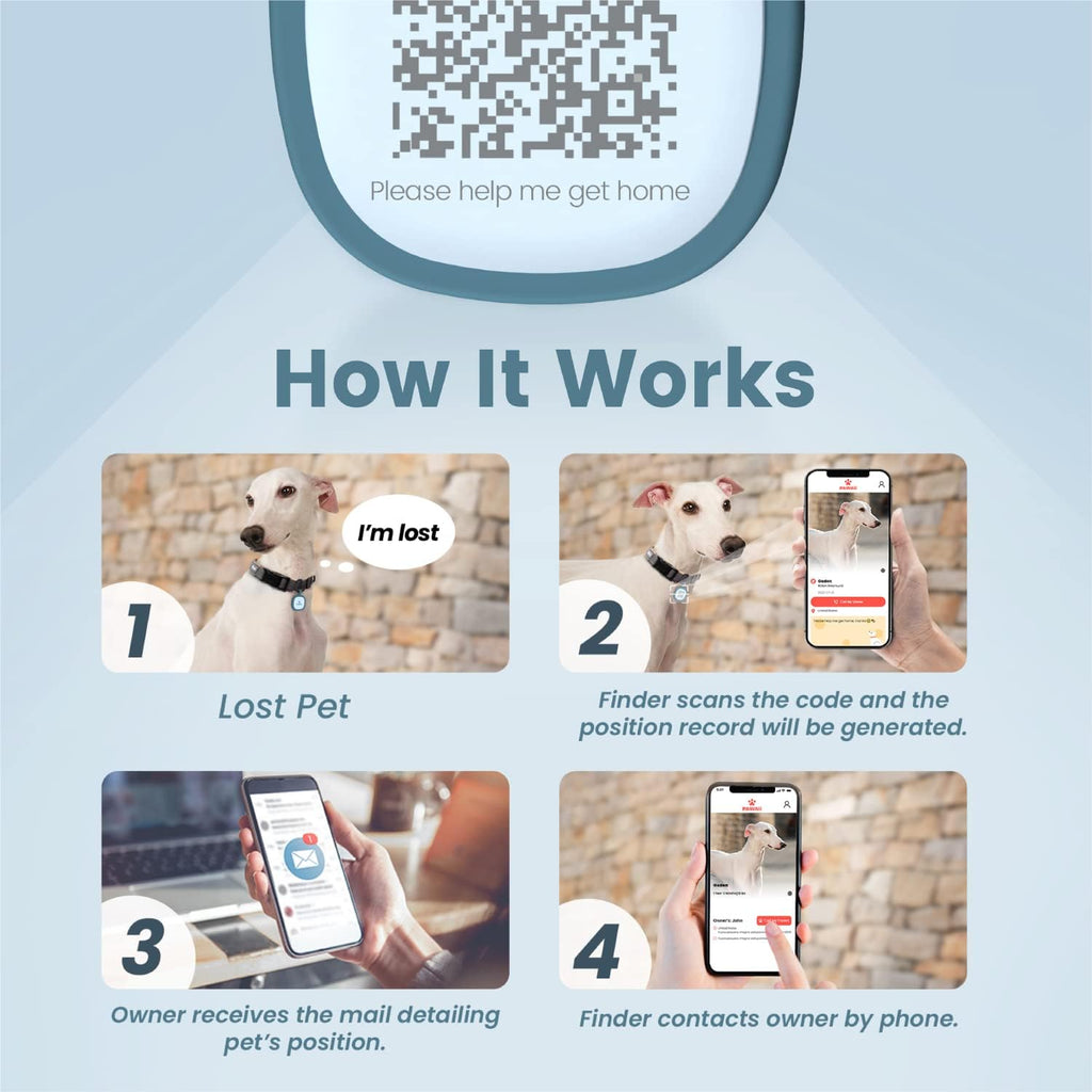 Pawaii digital dog tag online profile interface demonstration on a smartphone screen