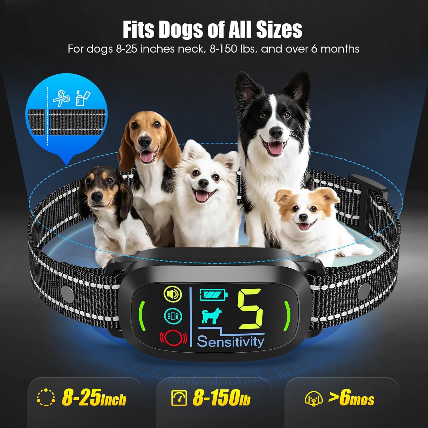 Rechargeable Oliry dog collar with USB Type-C port