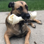 Healthy dental dog chew displaying product dimensions and thickness.