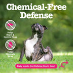 Close up of Zesty Paws 90 Count soft chew supplement jar
