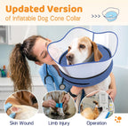 Supet dog donut collar after surgery with raised shield