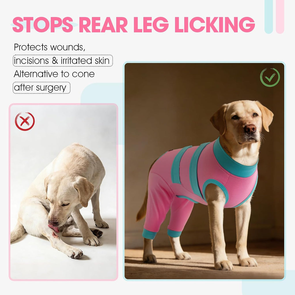 Side profile of dog wearing pink Qbleev recovery suit