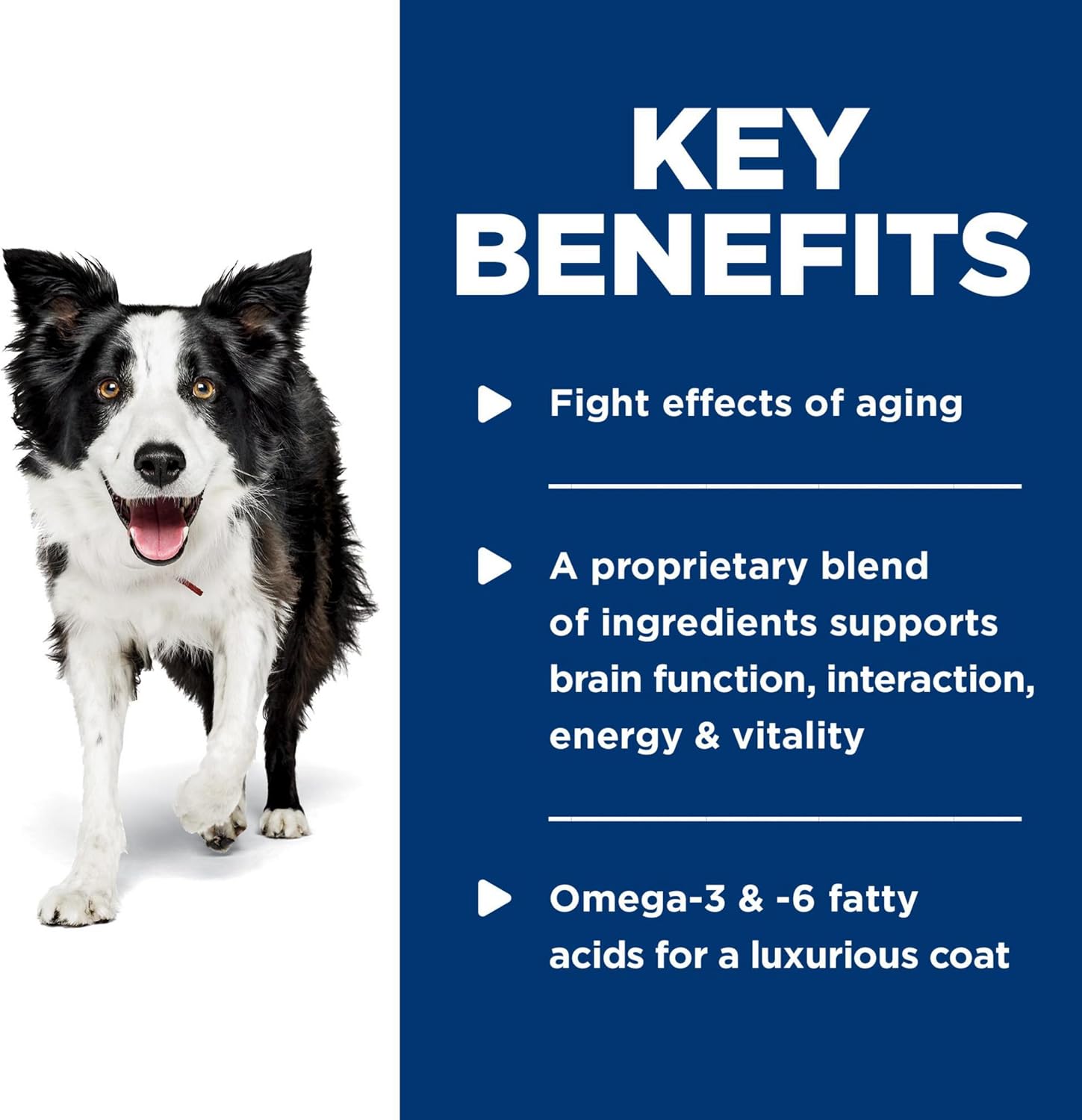 Premium canned dog food for mature pets aged 7 plus aging support formula