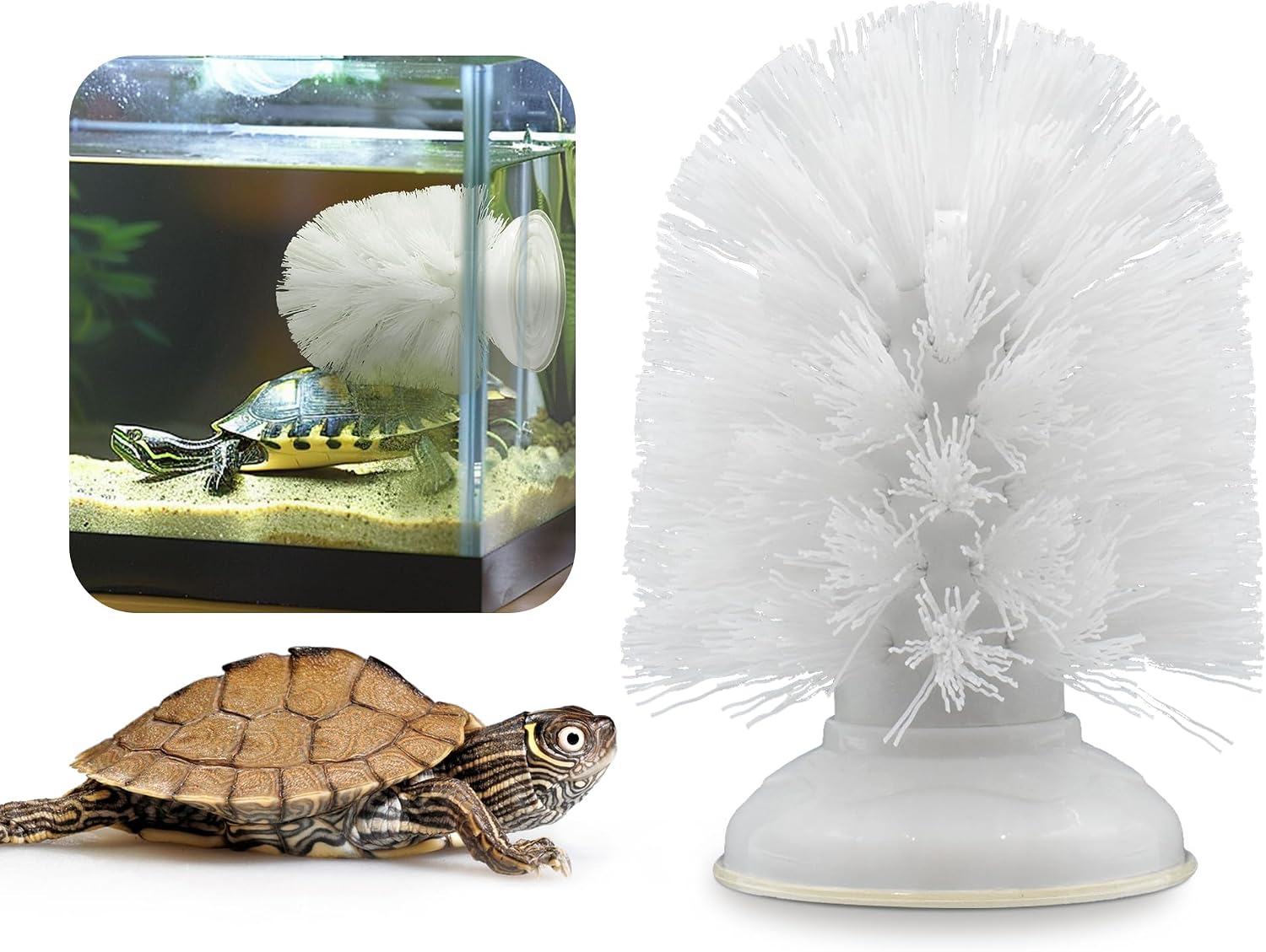 JJMOLLE Turtle Brush front view aquatic tank enrichment toy