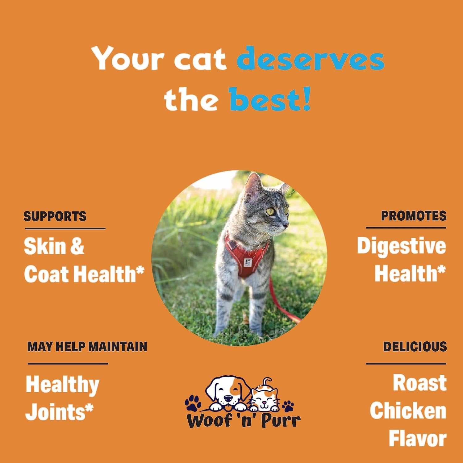 Liquid collagen supplement for cat skin and joint health