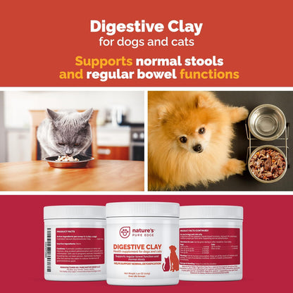 Digestive clay powder texture and scoop