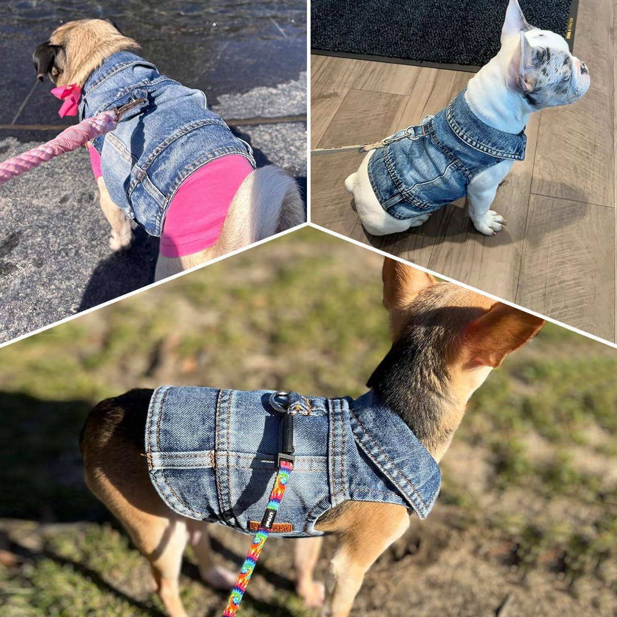 LKEX dog denim jacket side angle on a small poodle