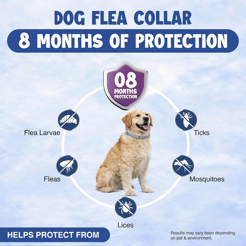 Flea comb and tick removal tools included in BKRMART pack