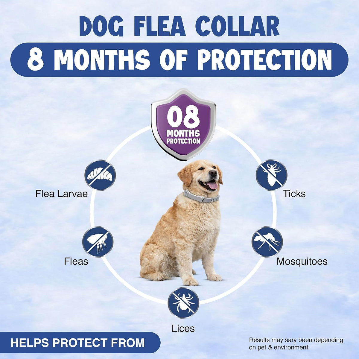 Flea comb and tick removal tools included in BKRMART pack
