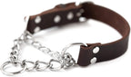 Mighty Paw martingale dog collar front view no pull training gear