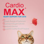 Heart Support Gel for Cats - L-Taurine, L-Carnitine, CoQ10 & Omega-3 (EPA & DHA) - Cardiovascular & Heart Muscle Support - Veterinarian Formulated Cat Cardiac Supplement - Tuna Flavor - 5 oz - Image 12