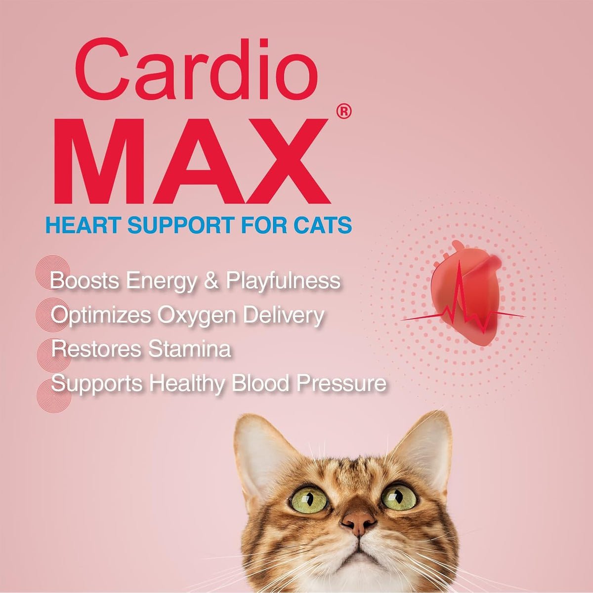 Heart Support Gel for Cats - L-Taurine, L-Carnitine, CoQ10 & Omega-3 (EPA & DHA) - Cardiovascular & Heart Muscle Support - Veterinarian Formulated Cat Cardiac Supplement - Tuna Flavor - 5 oz - Image 12