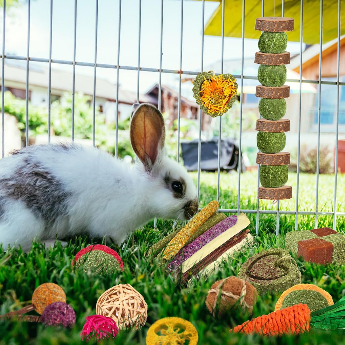 Natural timothy hay balls and apple wood treats for bunny dental health care