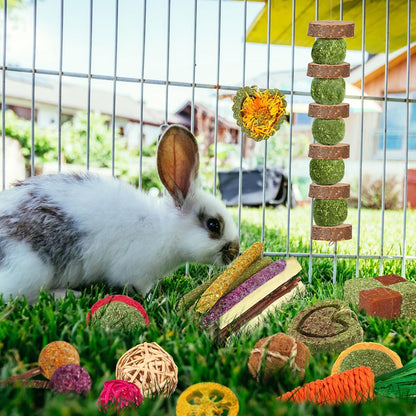 Natural timothy hay balls and apple wood treats for bunny dental health care