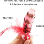 Five pack of colorful rubber cat bouncy balls with natural feathers