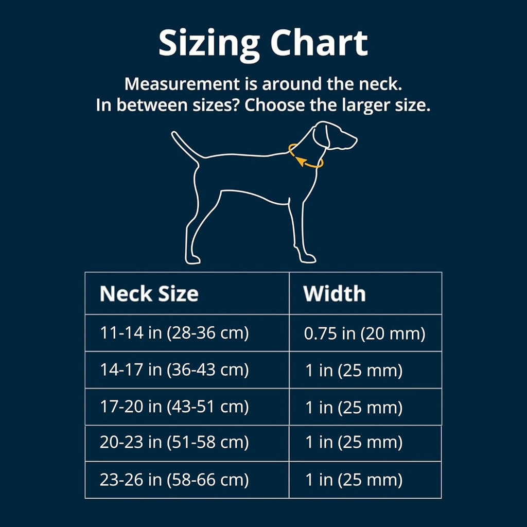 Adjustable anti slip martingale collar escape proof security buckle