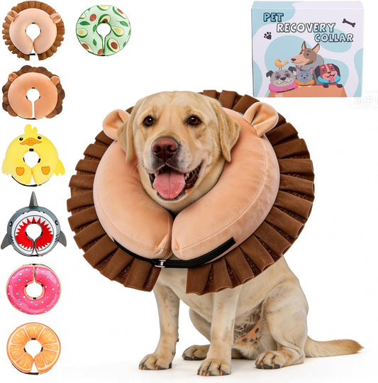 KOOLTAIL Inflatable Dog Cone Collar front view of lion shape on a large dog