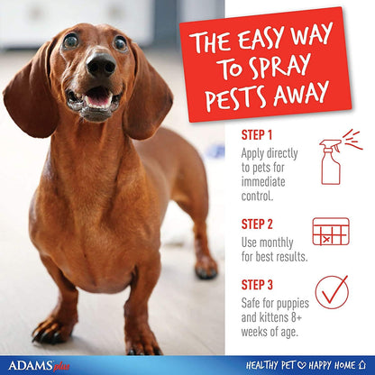 Authentic USA imported Adams pest control spray for dogs and cats