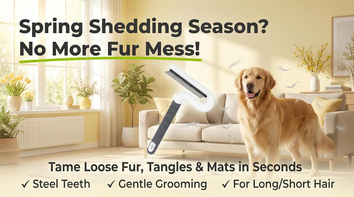 TailGurus TG2038 fine tooth stainless steel tearstain remover for poodles