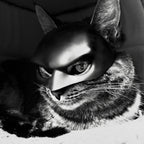 Adjustable strap detail on cat cosplay bat mask