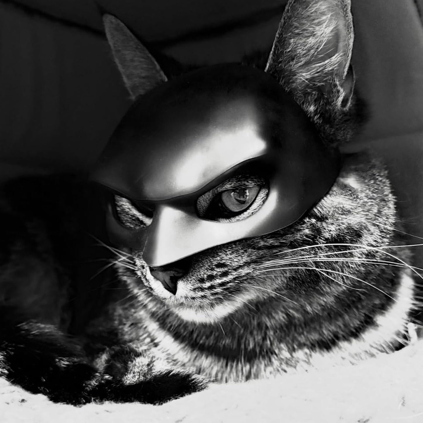 Adjustable strap detail on cat cosplay bat mask