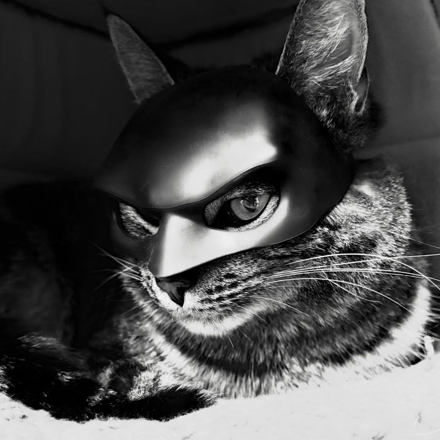 Adjustable strap detail on cat cosplay bat mask