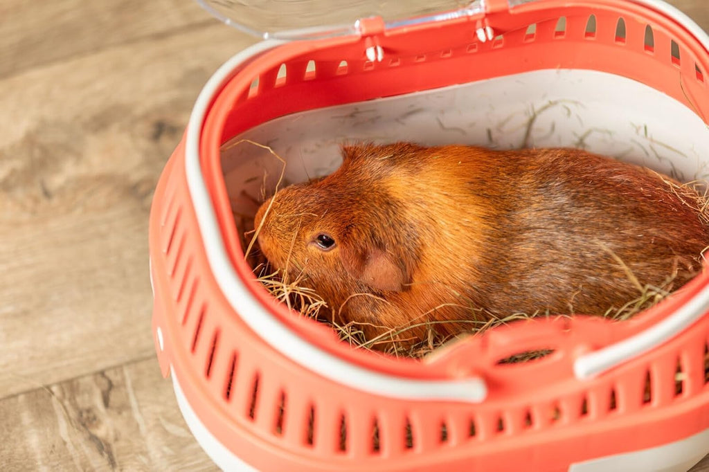 Trixie hamster travel crate non slip bottom view