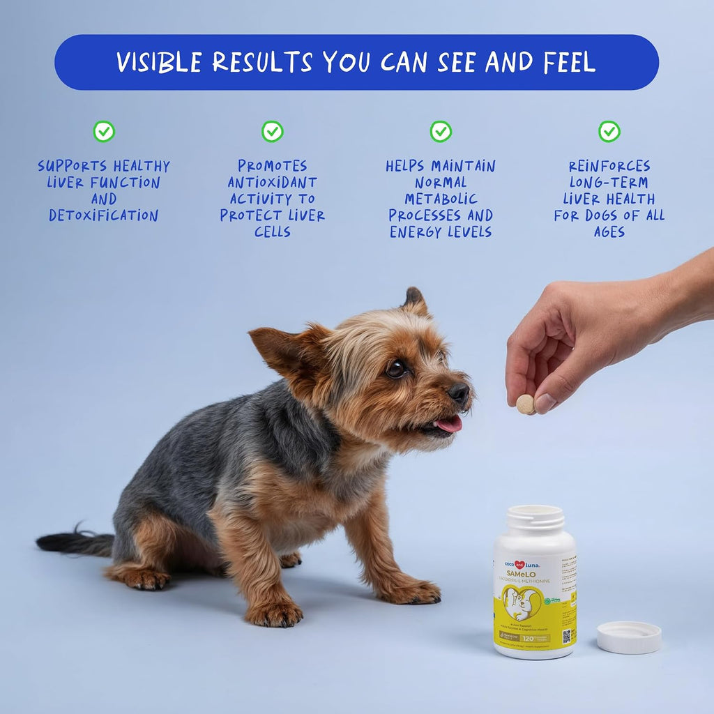 Coco and Luna canine cognitive brain support tablets back label