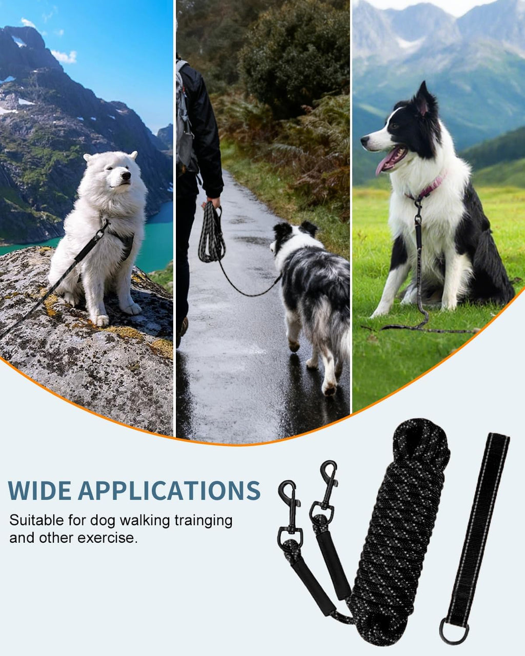 Thirty feet nylon dog training leash laid out for open field recall