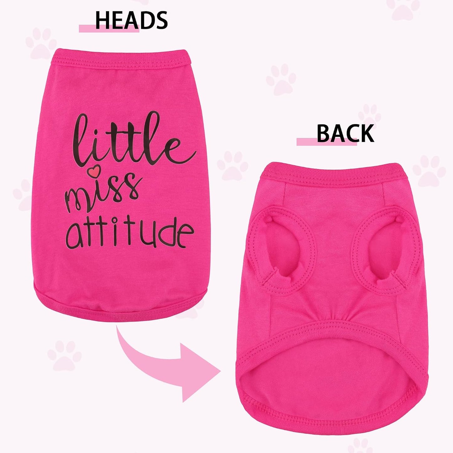 Small dog wearing Paiaite cotton puppy vest