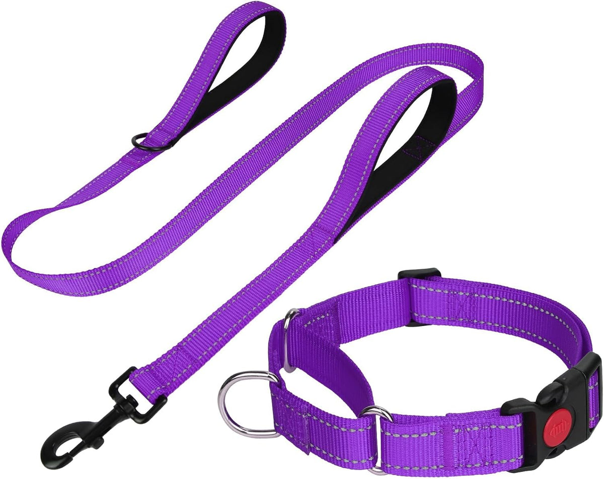 FunTags Reflective Hotpink Martingale Collar (16"-20") & Leash (5ft x 1") for Medium Dog, Escape-Proof with 2 Handles, Safe Night Walks, Durable Nylon, Quick-Release Buckle - Image 14