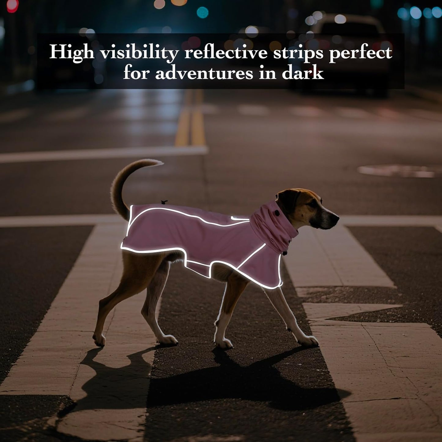 Ezierfy premium full coverage pink dog raincoat on a large breed dog