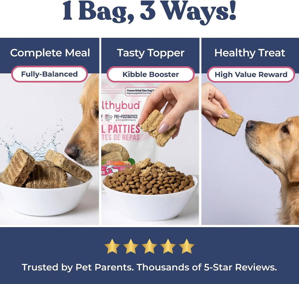 Healthybud freeze dried patties being served as a dog meal topper