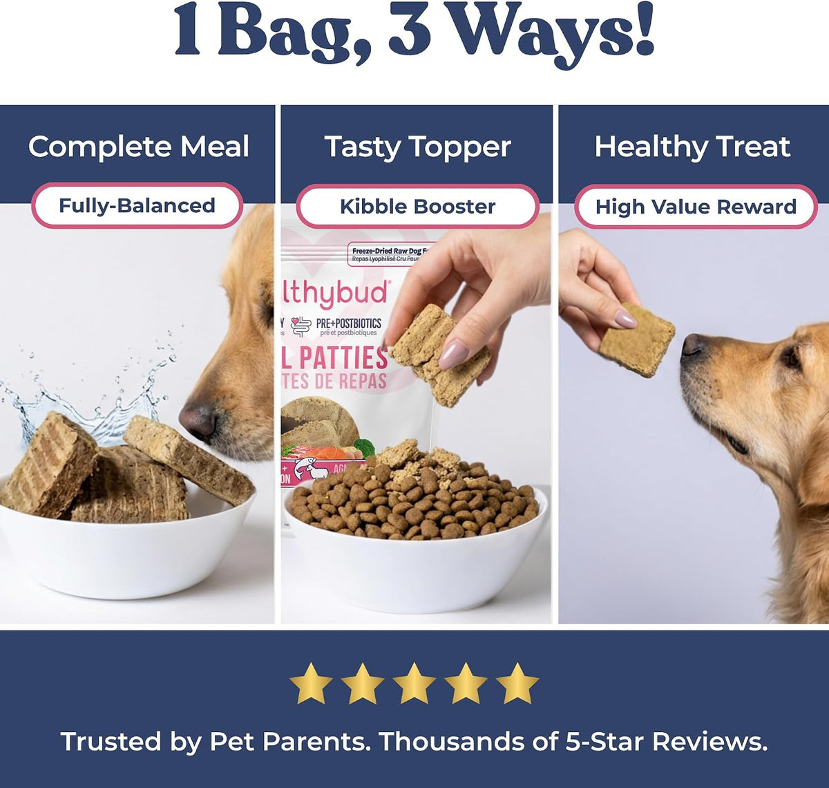 Healthybud freeze dried patties being served as a dog meal topper