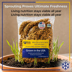Birds LOVE USA grown millet pieces for parakeets