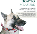 Sporn adjustable nylon dog halter converted to standard collar